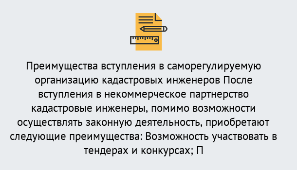 Почему нужно обратиться к нам? Чернушка Что дает допуск СРО кадастровых инженеров?