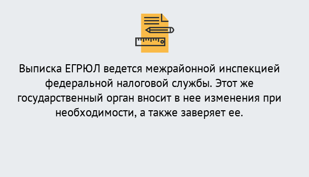 Почему нужно обратиться к нам? Чернушка Выписка ЕГРЮЛ в Чернушка ?