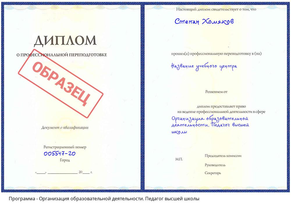 Организация образовательной деятельности. Педагог высшей школы Чернушка