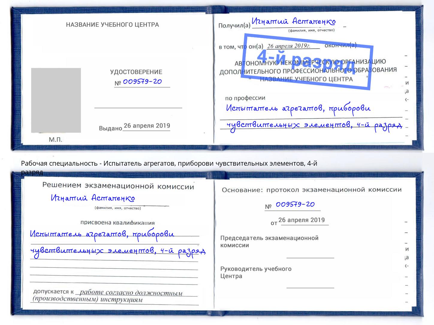 корочка 4-й разряд Испытатель агрегатов, приборови чувствительных элементов Чернушка