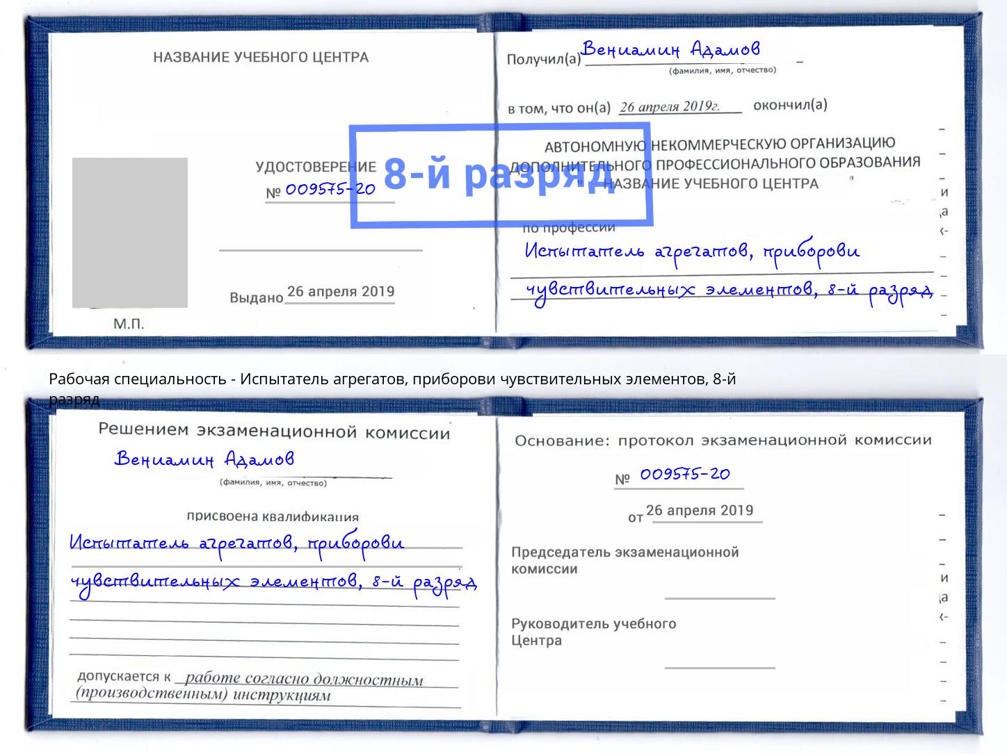 корочка 8-й разряд Испытатель агрегатов, приборови чувствительных элементов Чернушка